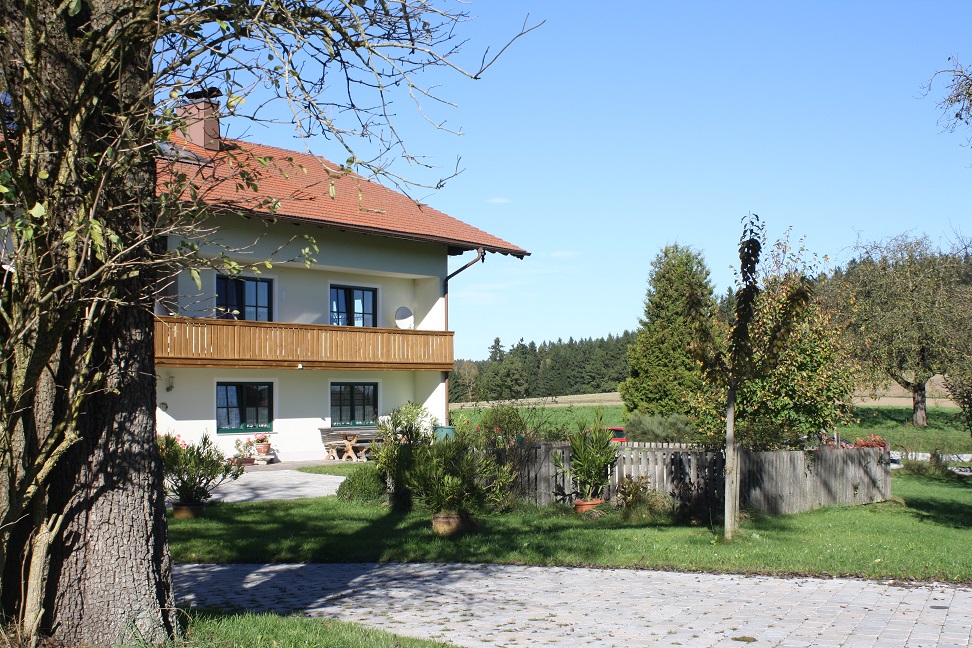 Picture 9