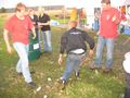 Picture 36