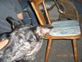 Picture 18